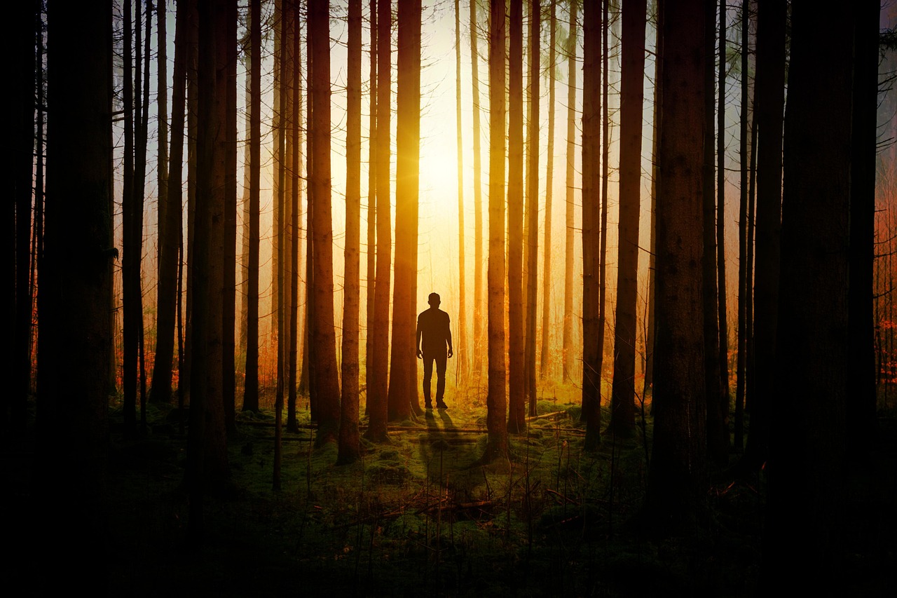 Freedom Begins in the Light