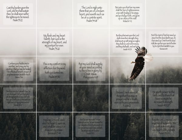 EAGLE WALL