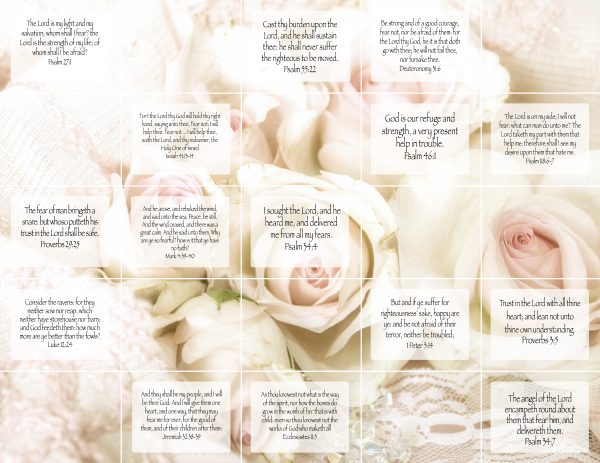 WHITE ROSE WALL