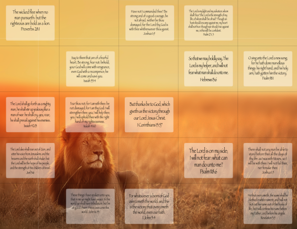 THE LION WALL